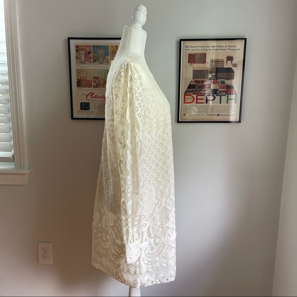 Modcloth Lace & Mesh Dress - Picture 4 of 11